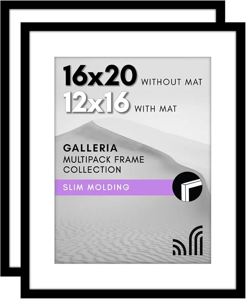 Americanflat 16x20 Poster Frame 2-Pack - Matted to 12x16 - Black