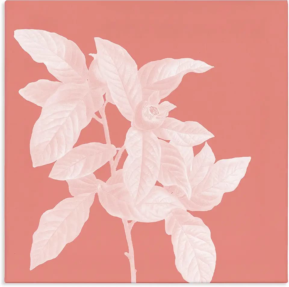 Pink White Botanical Floral, 24 x 24 Inch Canvas Wall Art