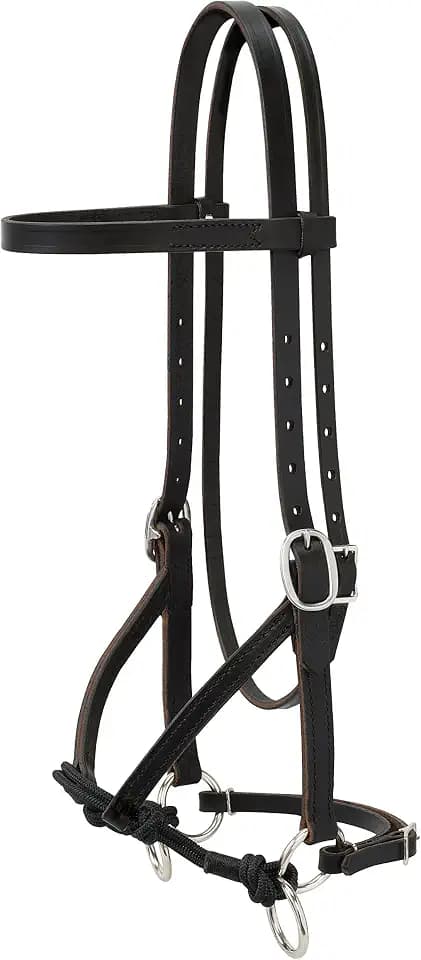 Justin Dunn Bitless Bridle