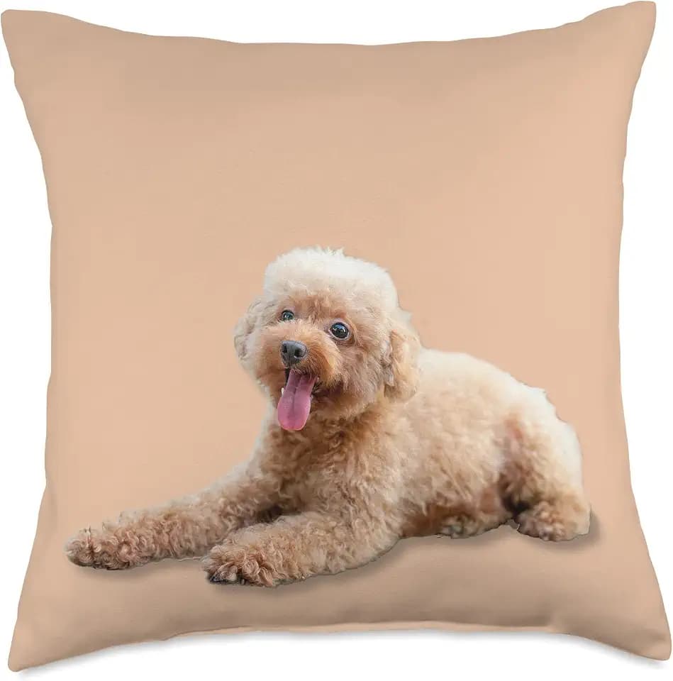 PILLOW POODLE, TOY POODLES, APRICOT POODLE, PETS, DOGS Throw Pillow