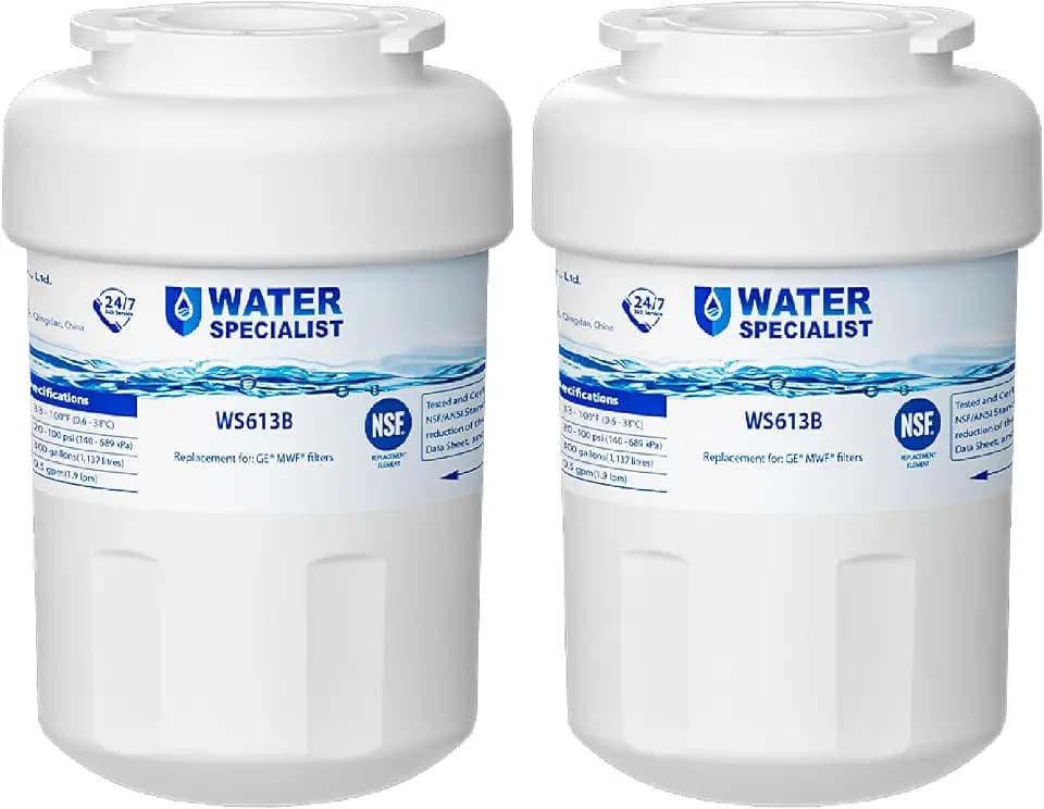 Waterspecialist WS613B Water Filter, Replacement for GE® MWF®, 2 Pack