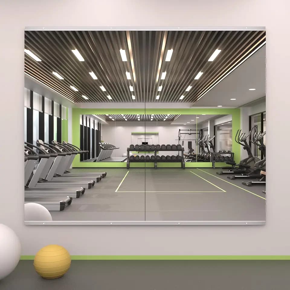 LOAAO Home Gym Mirror 48"x24", 2 PCS