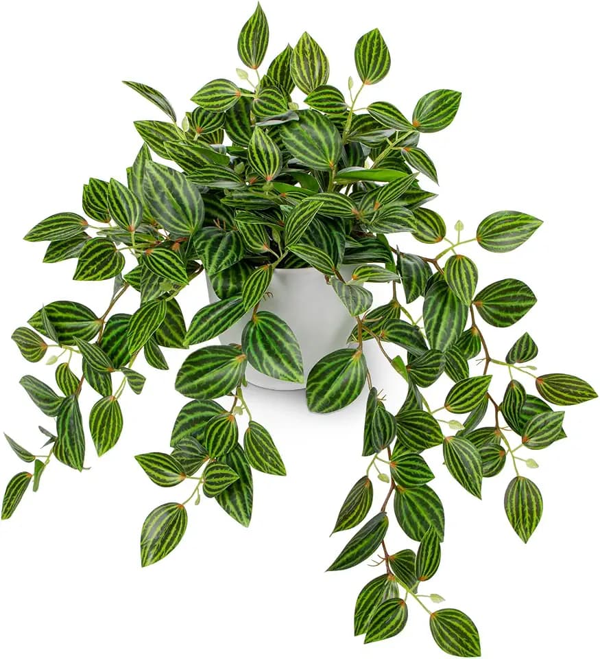 Briful Artificial Potted Plant Indoor, 17.7" Faux Watermelon Peperomia Trailing Plant in White Plastic Pot Realistic Fake Cascading Greenery for Shelf Bathroom Office Desk Tabletop Home Decor