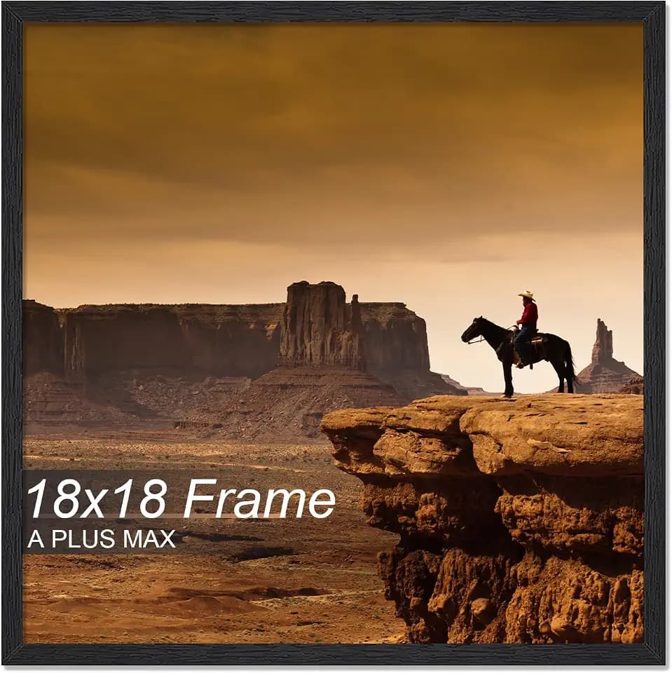 A PLUS MAX 18x18 Picture Frame Black Light Weight Wall Mount