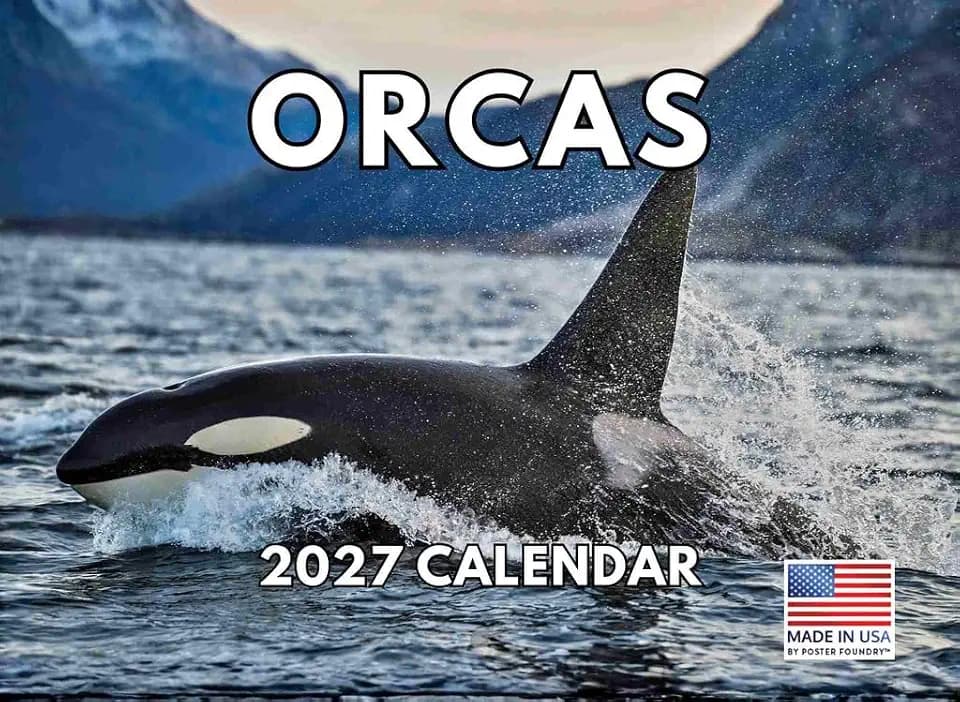 Orca Calendar 2027 Killer Whale Monthly Wall Calender 12 Month