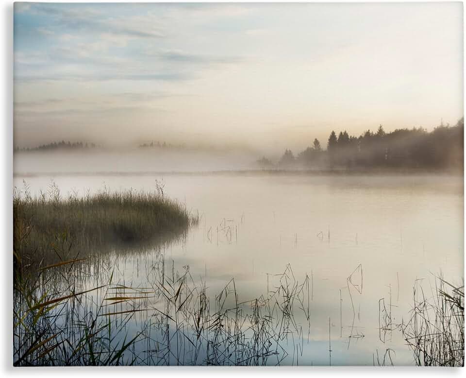 Stupell Industries 'Misty Marsh Wetland Landscape Tall Grass'| Canvas Art