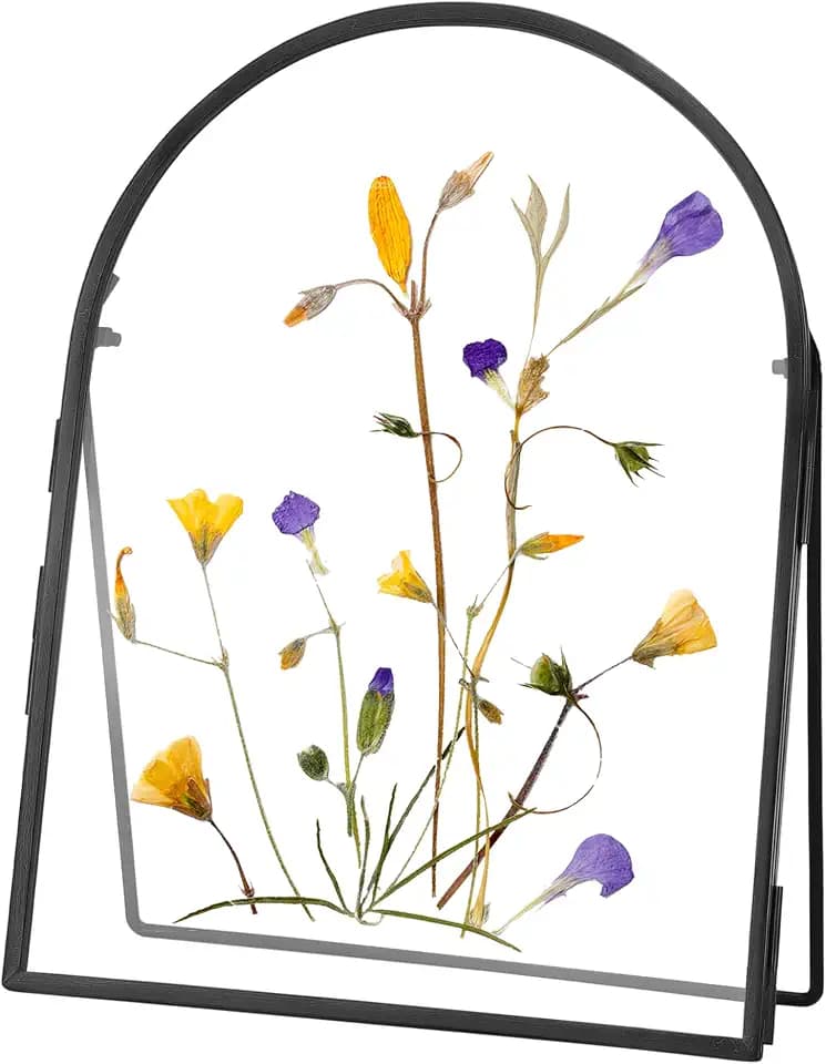 REDHUGO Double Glass Frame for Pressed Flowers Handmade, Arc, Black, 6x8 in