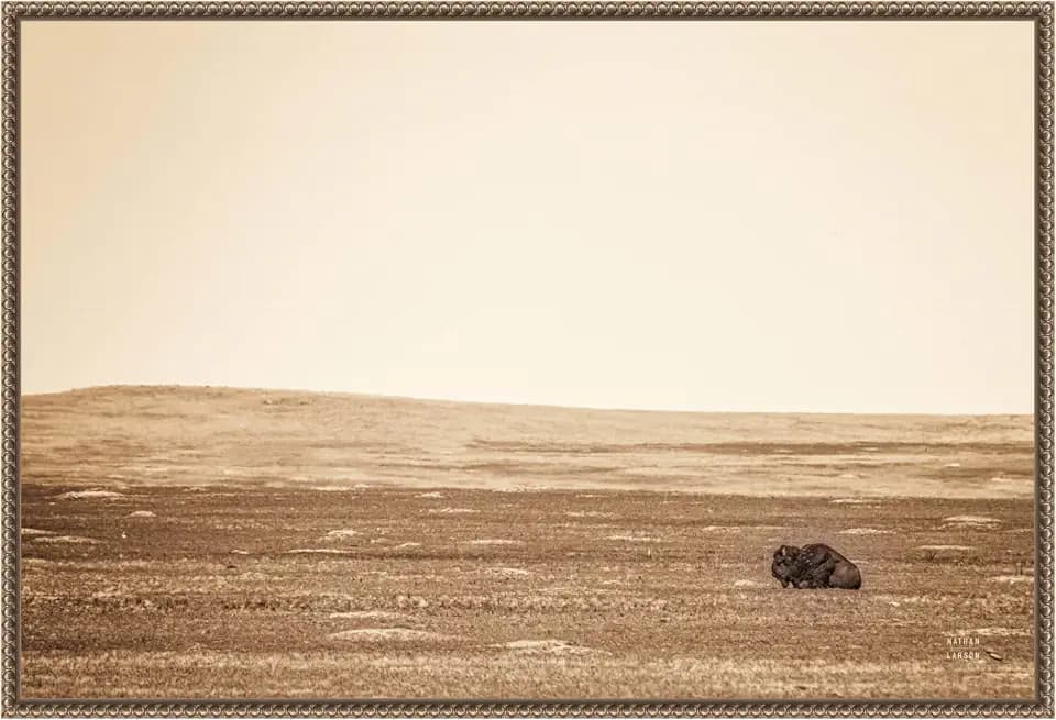 Amanti Art Framed Canvas Wall Art 23x33 Badlands Bison Sepia by Nathan Larson, Framed Wall Art Canvas, Animals Artwork, Traditional Decor, Large Poster Painting for Living Room, Bedroom, Bathroom