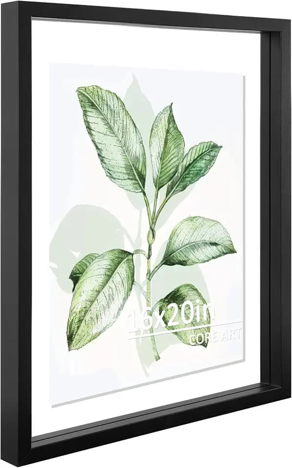 CORE ART 16x20 Floating Picture Frame, Black