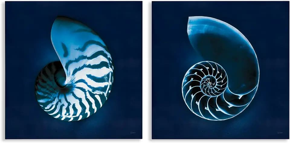 Stupell Industries Blue Spiral Nautilus, 17 x 17 Inch Canvas Wall Art Set