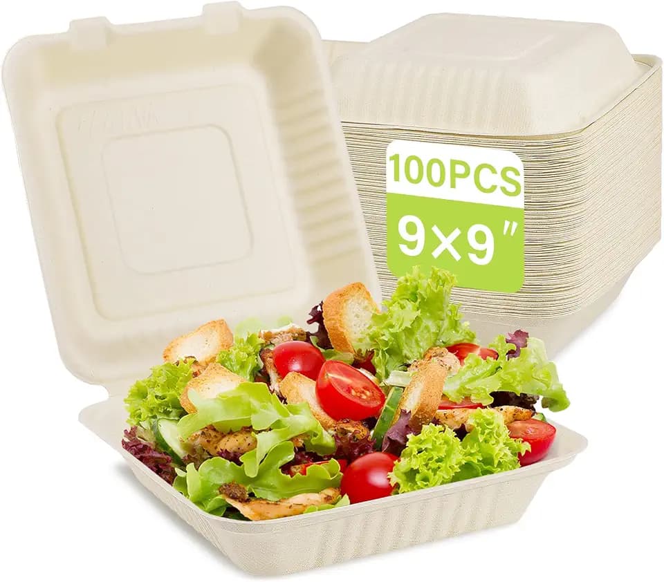 greensight 9X9 Compostable Clamshell Take Out Food Container 100 Pack