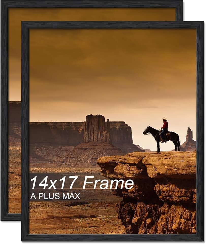 A PLUS MAX 14x17 Picture Frame Set of 2 Black Light Weight Wall Mount