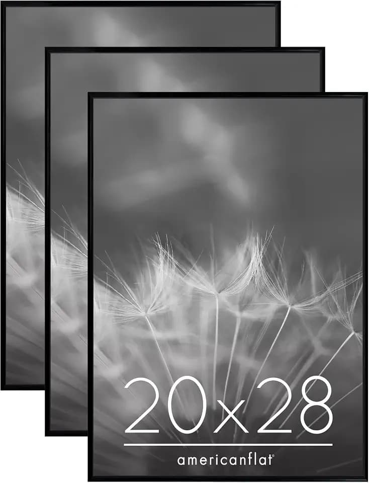 Americanflat 20x28 Picture Frame 3-Pack - Black