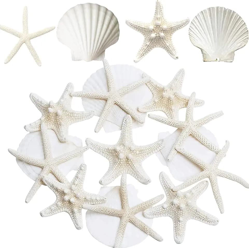 JQAQJU 12PCS Large Starfish and Scallop Shells for Crafts 3-4Inch Seashells