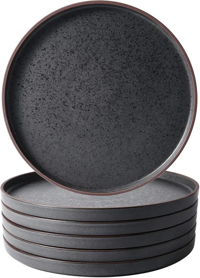 LERATIO Ceramic Dinner Plates Set of 6,10.25 inch Large ceramic plates