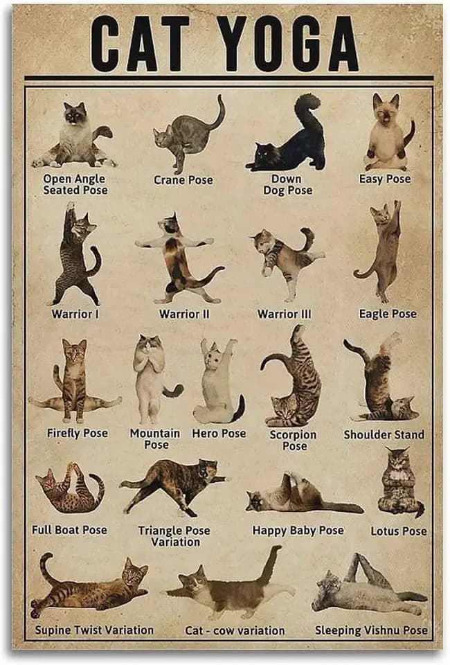 ARTJHCHYNB Cat Yoga Poster Fuuny Yoga Lover Canvas Wall Art Aesthetic Decorative Painting Living Room Restaurants, Pool Halls And Hotelsstyle 12x18inch(30x45cm)