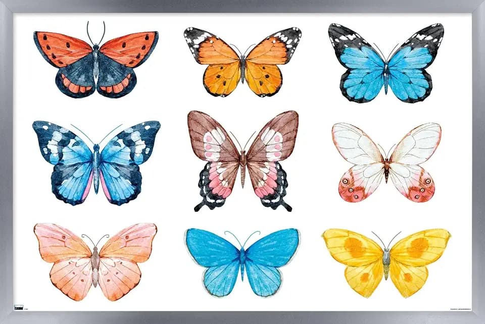 Trends International Watercolor Butterflies Wall Poster, 22.375" x 34", Silver Framed Version
