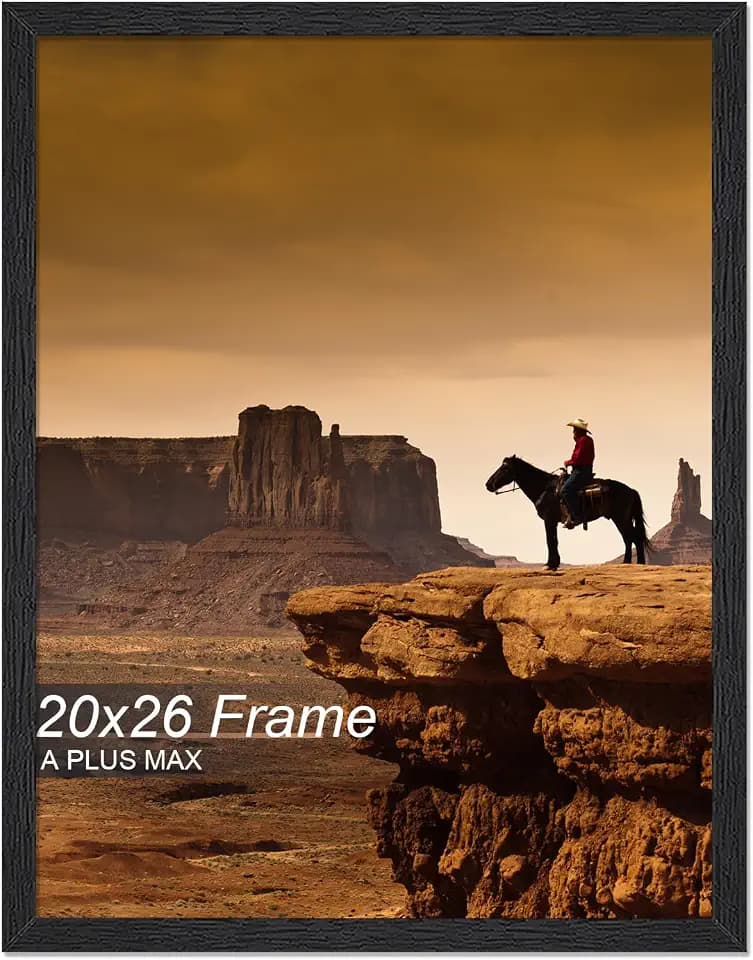 A PLUS MAX 20x26 Picture Frame Black Light Weight Wall Mount