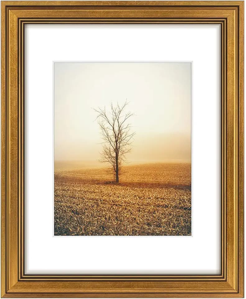 Golden State Art 11x14 Dark Gold Photo Frame White Mat for 8x10 Real Glass