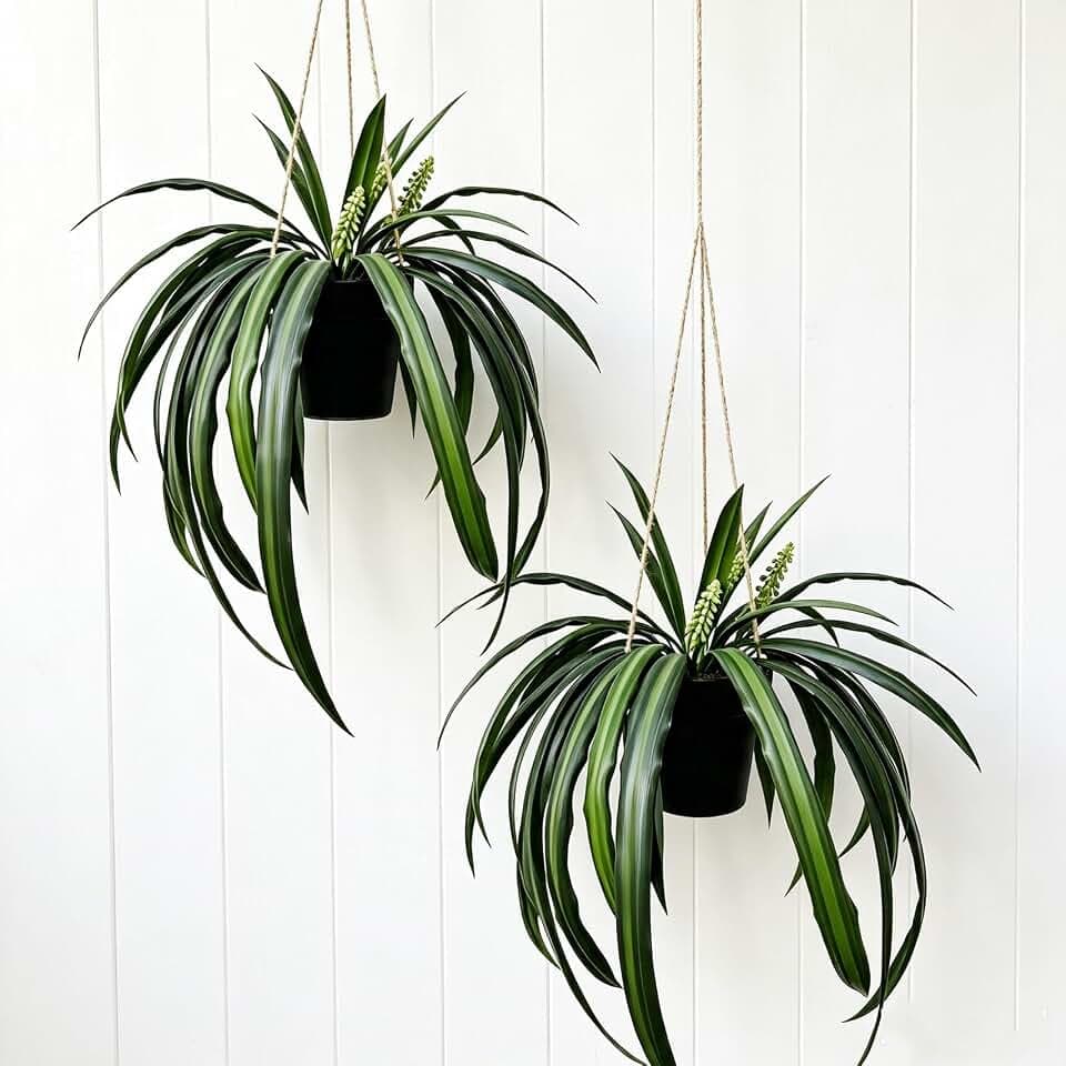2 Pack 17 Inches Realistic Artificial Hanging Spider Plants In Black Pot