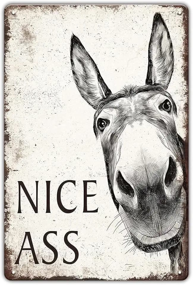 Funny Bathroom Signs Decor - Humorous Nice Ass, Vintage Metal Cute Donkey Sign for Farmhouse Bathroom, Restroom, Toilet Wall art, Donkey Lovers Gifts, 12x16 inch
