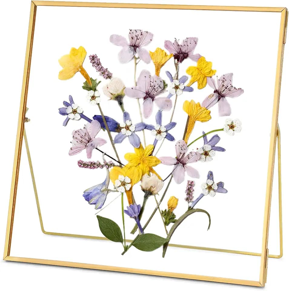 REDHUGO Double Glass Frame for Pressed Flowers, Square, Gold, 10x10 Inches