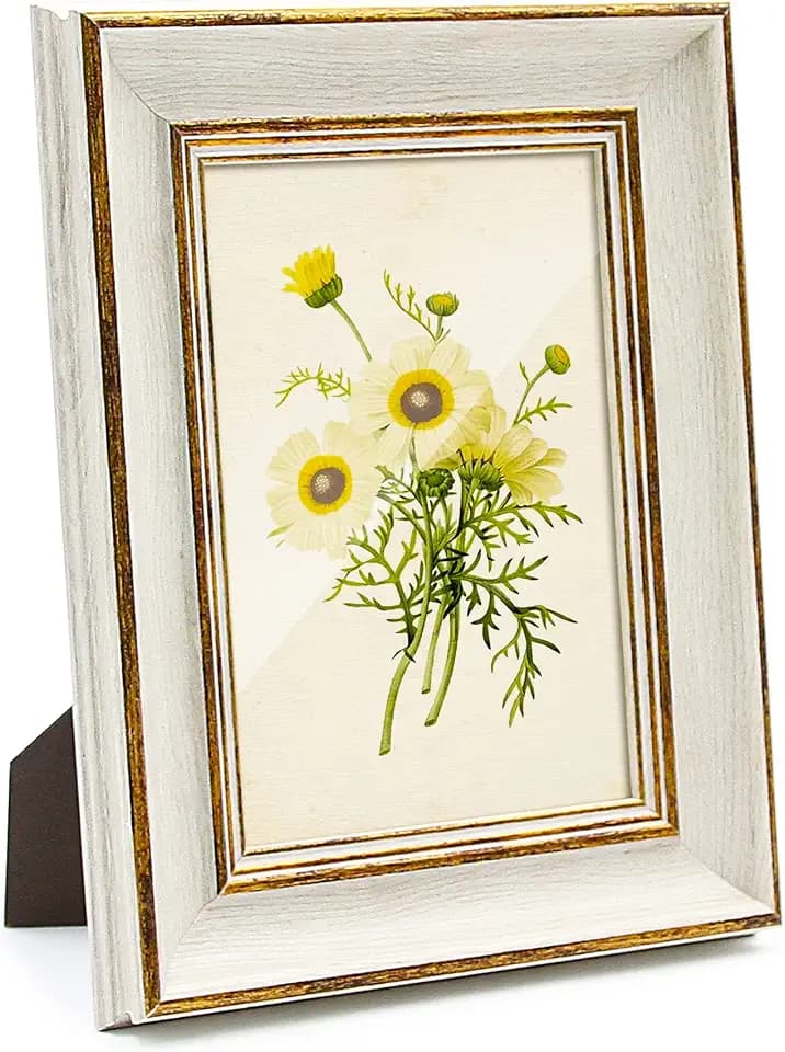 Sapowerntus Vintage 4x6 Picture Frame White Distressed Gold Photo Frames