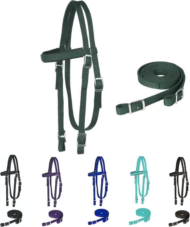 Majestic Ally Nylon Padded Browband Headstall with Reins for Horses (Hunter Green, Full)