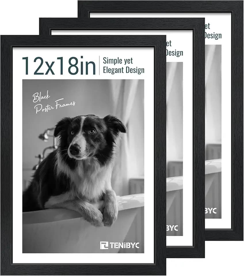 12x18 Poster Frame 3 Pack, Black Wood, Real Glass, Wall Hanging