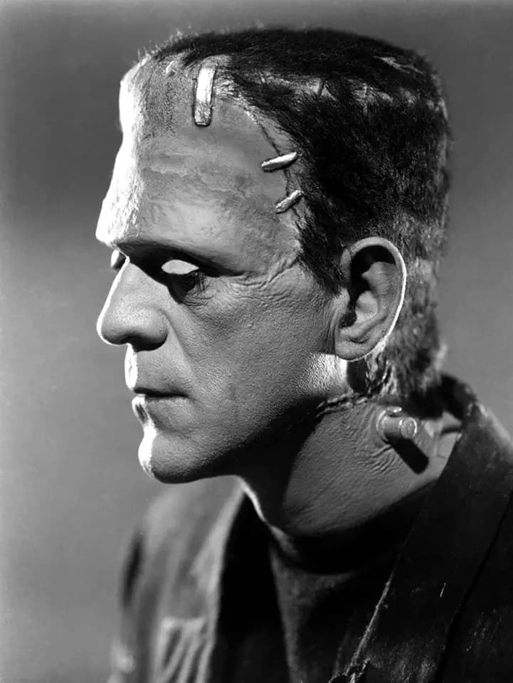 Art.com Wall Photo Bride of Frankenstein, Boris Karloff, 1935, 24" x 32"