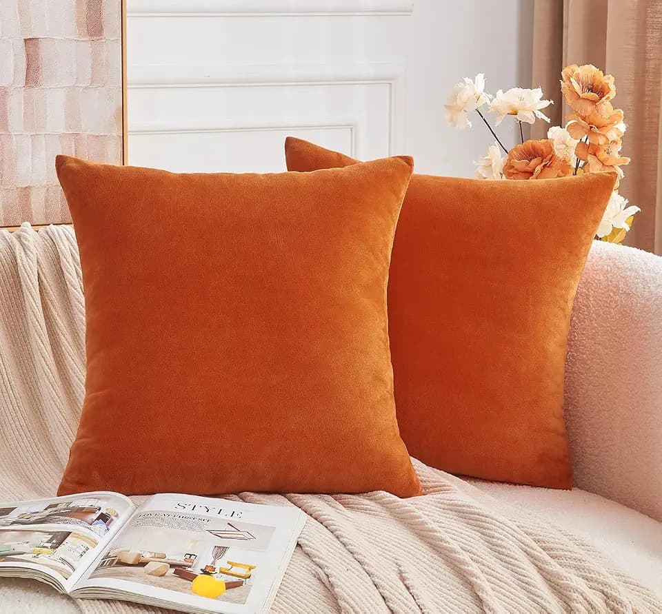 Throw Pillow Covers Burnt Orange Set of 2 22x22 Inch Fall Pillow Covers, Soft Velvet Farmhouse Neutral Decorative Pillowcases for Couch Sofa Bed, Home Boho Decor, Modern Cushion Covers