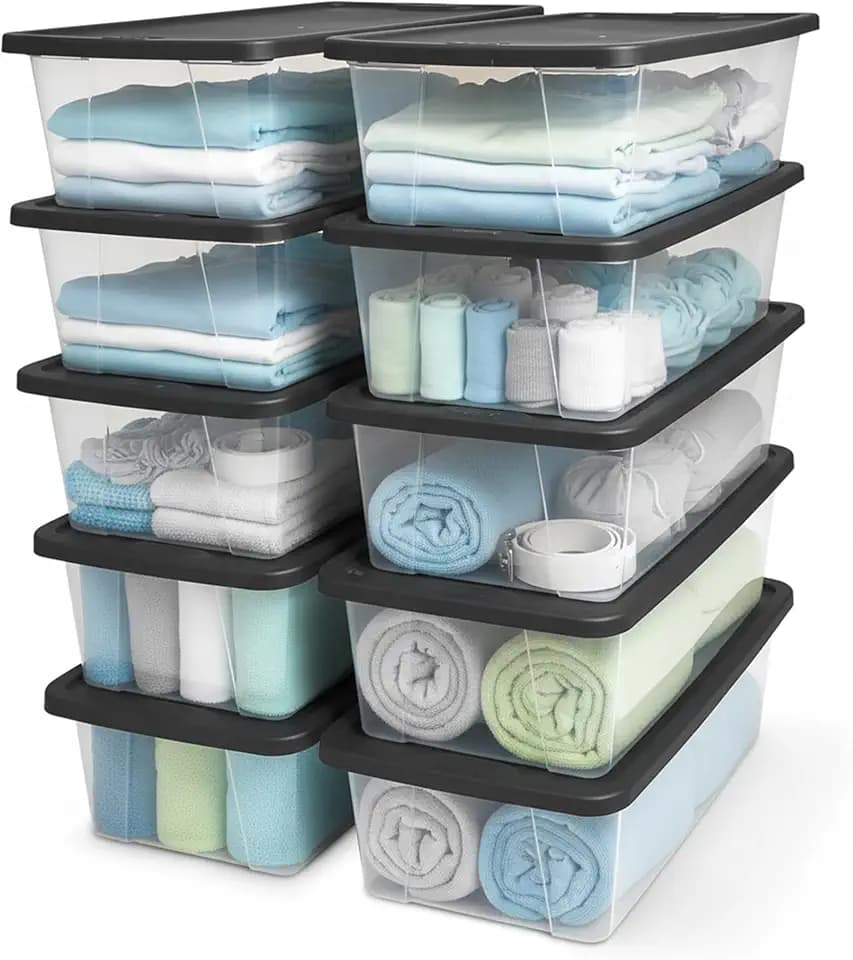 HOMZ Snaplock, Small Clear Plastic Storage Organizer Bins w/Lids, 10 Pack