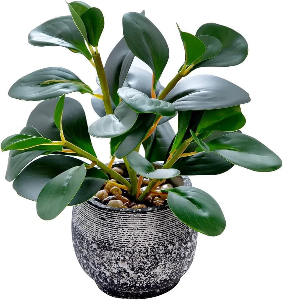 AlphaAcc Small Artificial Ficus in Black Cement Pot Desk Decor