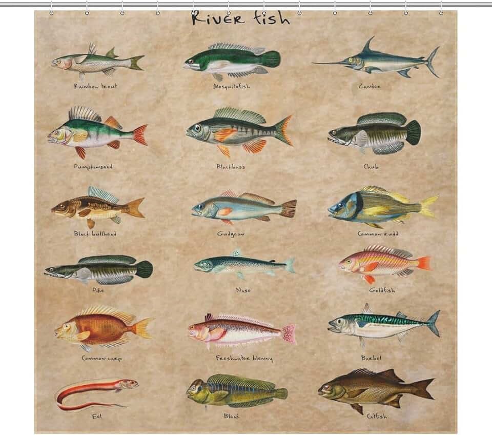 Fish Print Shower Curtains Vintage Style Lake Fishing Old Paper Waterproof Bathroom Shower Curtains Hand Drawn Bath Curtains Home Decor Fabric 72x72Inch (183x183cm)