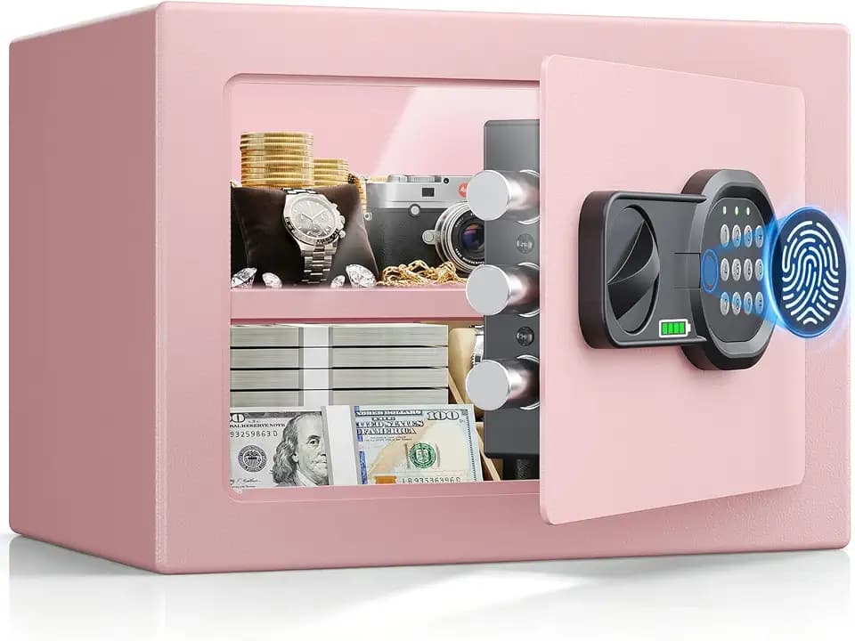 Mini Biometric Safe Box for Home, 0.8 Cu Ft Small Fingerprint Safe with Keypad & Keys, Steel Personal Security Safe with Magnetic Light, for Jewelry, Cash, Passport, Medication, Pink