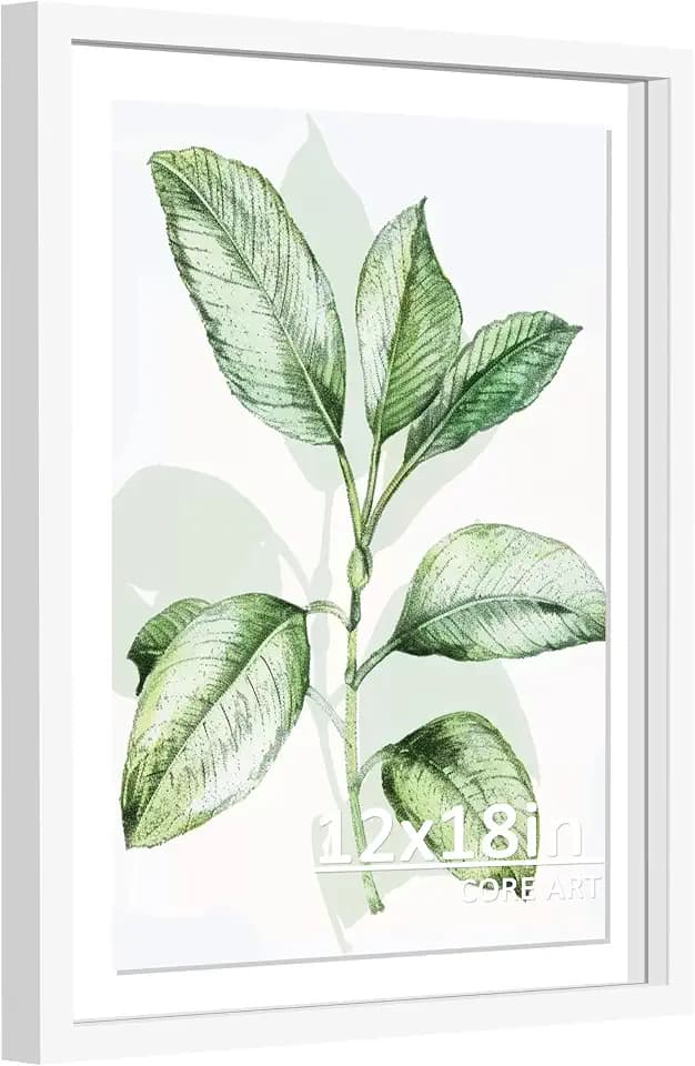 CORE ART 12x18 Floating Picture Frame, White
