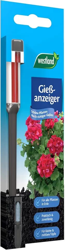 Seramis Westland Gießanzeiger für alle Pflanzen in Blumenerde, Kein Batteriebetrieb, Kunststoff, Höhe: 16 cm, Gießanzeiger, Anthrazit 732110