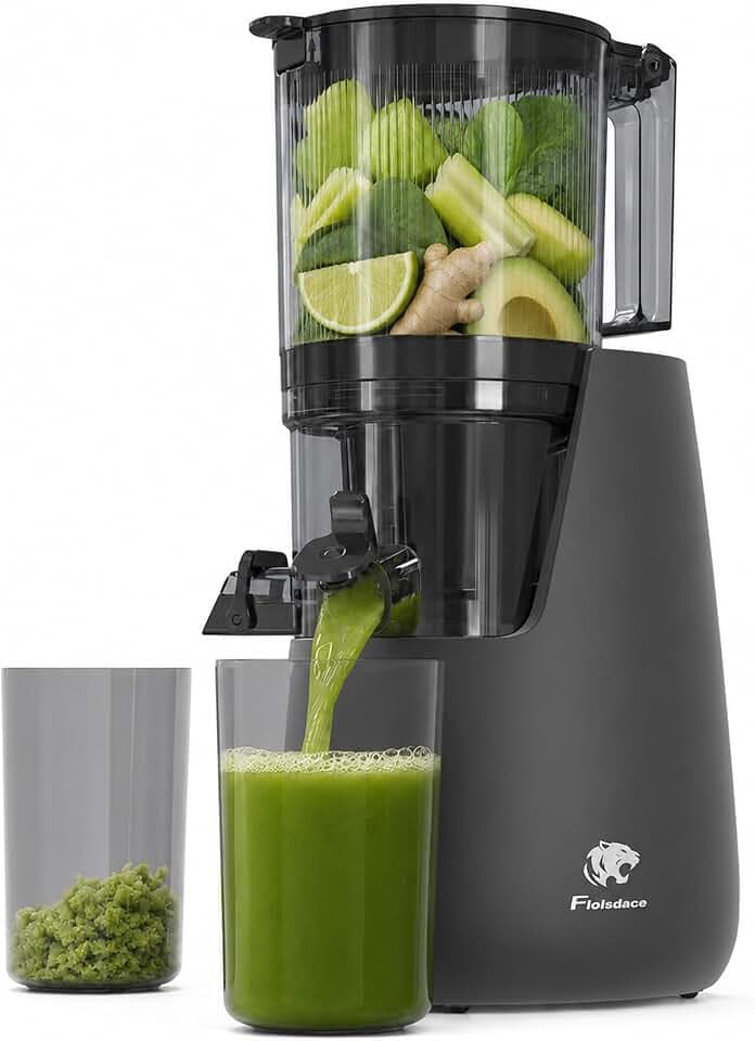 Cold Press Juicer, 6" Extra Large Feed Chute Slow Masticating Juicer Machines, Powerful AC Brushless Motor, Self Precut System, Juicer Machines with BPA-Free, Extra one Replace juicer strainer
