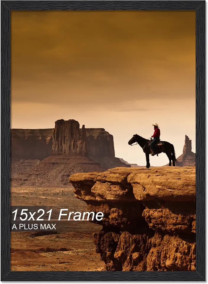 A PLUS MAX 15x21 Picture Frame Black Light Weight Wall Mount
