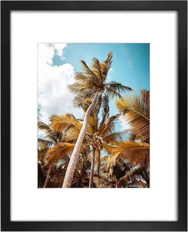 Frametory 16x20 Black Picture Frame with Real Glass Mat for 11x14