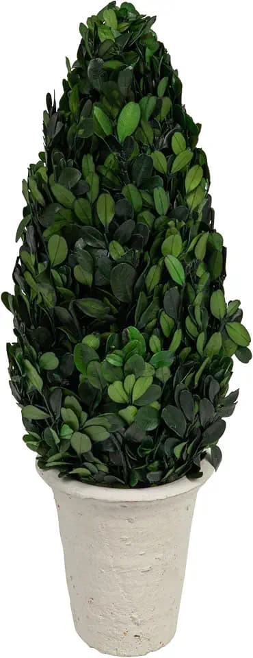 Creative Co-Op Round Preserved Boxwood Cone Topiary in Distressed Clay Pot, Green