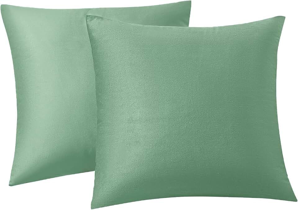 RainRoad Sage Green Throw Pillows Covers Set of 2 Velvet 20x20 Inch