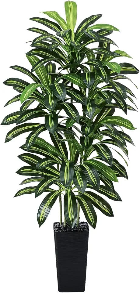 Artificial Dracaena Tree 6FT / Black Planter, Tall Plants Indoor