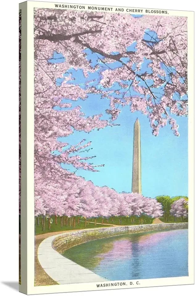 ART.COM Stretched Canvas Print Cherry Blossoms, Washington Monument, Washington D.C., 16" x 24"