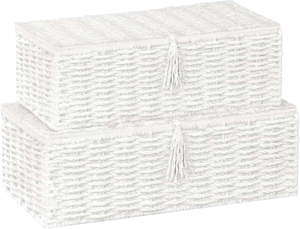 Vagusicc Wicker Shelf Baskets with Lid, Set of 2 Handwoven Wicker Storage Baskets for Shelves, Rectangular Storage Bins with Lids, Decorative Storage Boxes, Small Wicker Baskets for Organizing, White