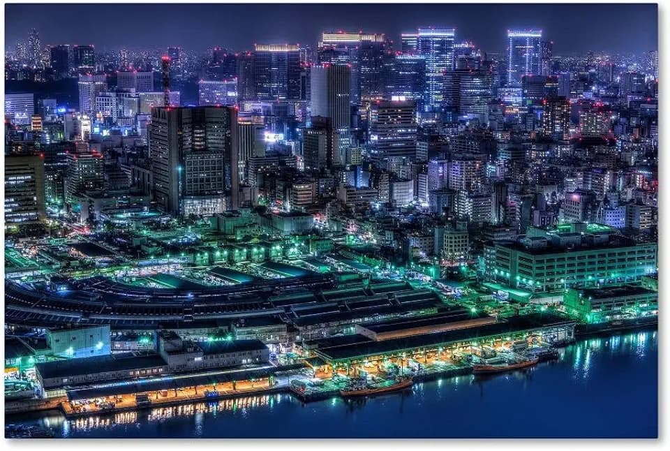 Trademark Fine Art Canvas Wall Art - Tomoshi Hara 'Tokyo' Wall Art for Living Room, Bedroom, or Office Décor