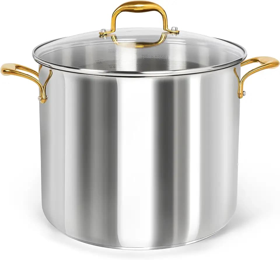 MICHELANGELO Stainless Steel Stock Pot - 20 Quart Soup Pot with Lid & Ergonomic Handle, Extra-Large Pots for Cooking, Suitable for All Stoves