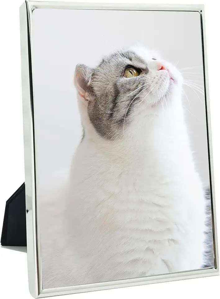 DECANIT 5X7 Metal Picture Frame, Thin Profile Silver Photo Frame