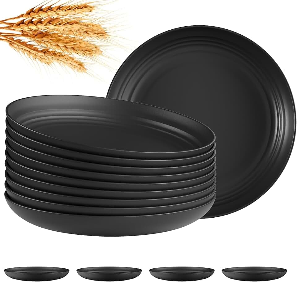 Quatish 10 PCS Reusable Plastic Plates, Dinner Plate, Plate Set, Black