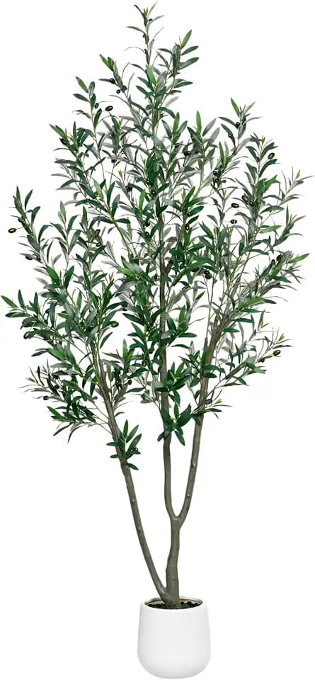6FT Olive Trees Artificial Indoor, Thick Trunks, Fake Plants with White Tall Planter, Olive Tree with Natural Wood Trunk and Lifelike Fruits for Home Office Decor